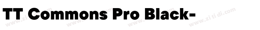 TT Commons Pro Black字体转换